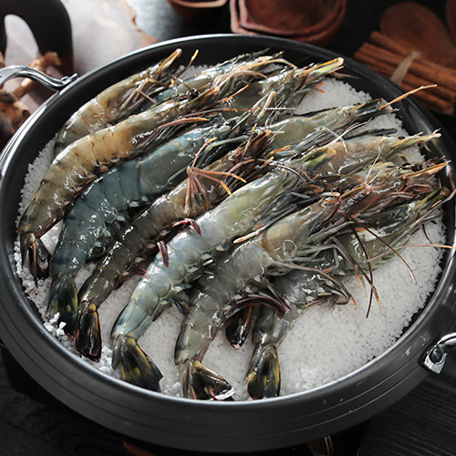 [모조나인] 킹블랙 타이거 새우 500g (8~40미 선택)